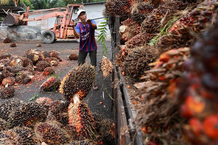 Malaysia seeks tax exemption for palm oil raw materials