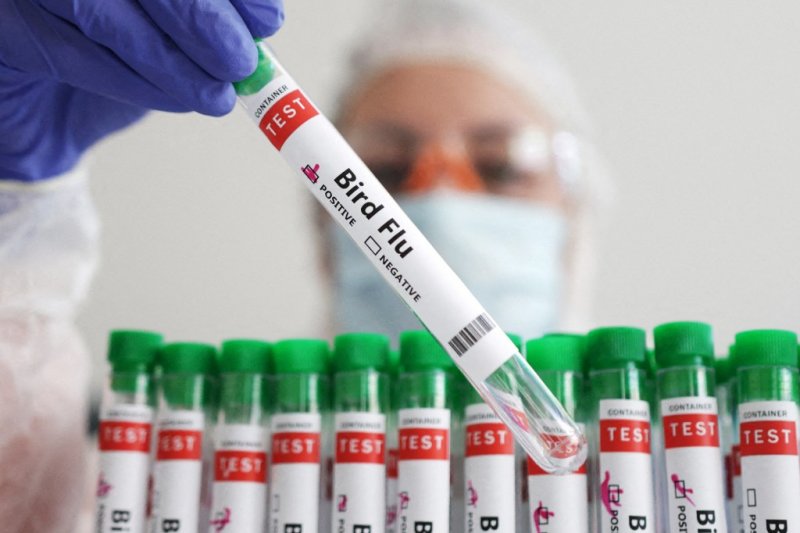 Philippines greenlights commercial use of first bird flu vaccine