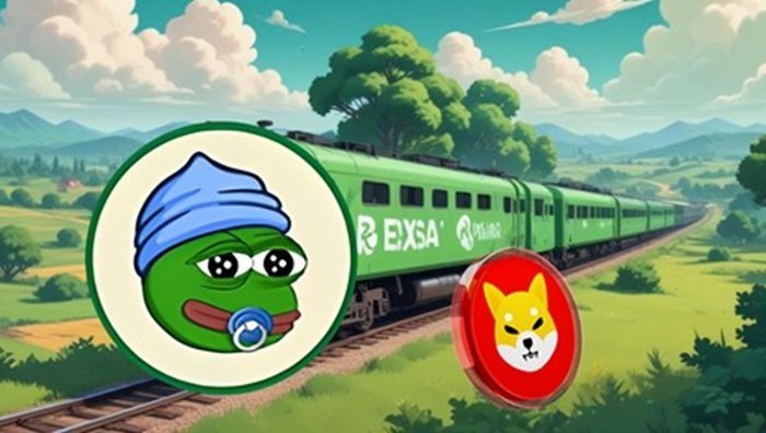 Shiba Inu price prediction: SHIB alternative under $0.003 shines as big investors jump in for 2025 meme coin gains