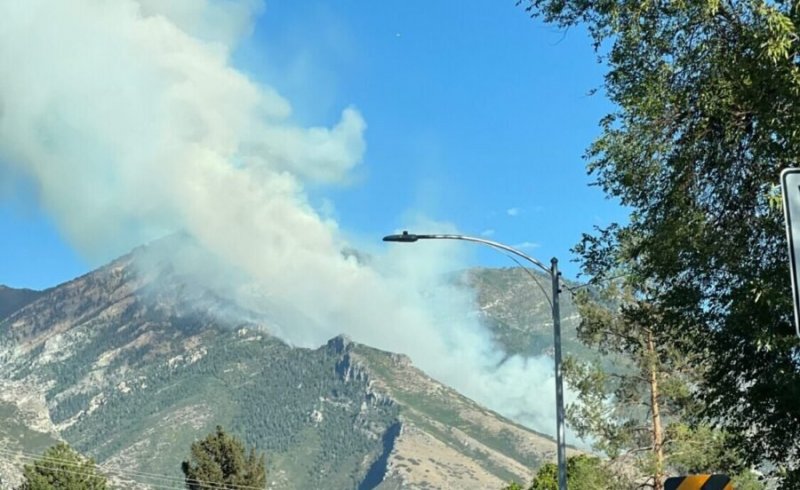 Wildfire erupts in Buckley Draw Canyon
