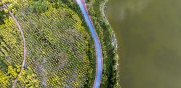 China launches 2025–2030 plan for healthier environments