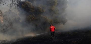 Greece wildfire contained, but high winds keep evacuations underway