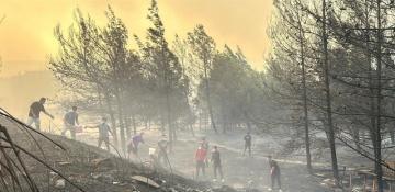 Türkiye battles wildfires amid hottest July in 55 years 
