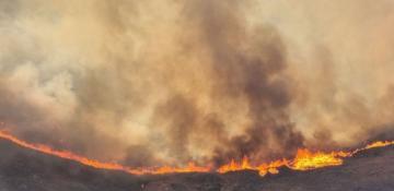 Chios wildfire forces evacuations of people trapped on beaches
