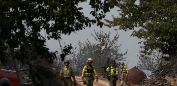 Volunteer firefighter killed as wildfires ravage Spain