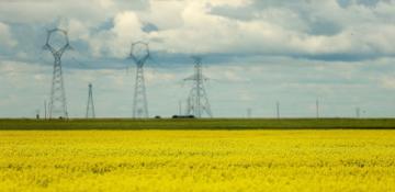 Canadian Canola Meal stuck in China amid tariff dispute