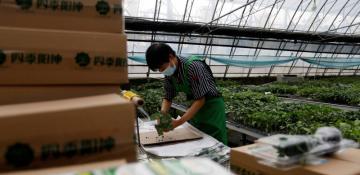 China’s CNAF to invest in private sustainable aviation fuel plant