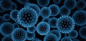 Japan records 135 potentially fatal tick-borne infections this year