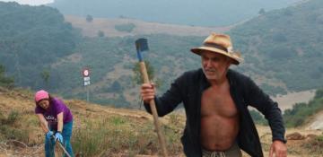 Wildfires in Spain stabilising as cooler weather brings hope