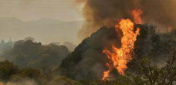Europe faces quadruple rise in wildfire damage this year