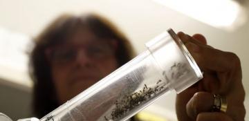 Europe faces record surge in mosquito-borne diseases