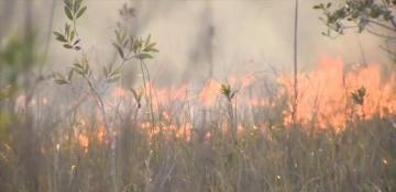 Everglades wildfire spreads to 1,600 acres -  VIDEO 
