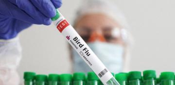 Philippines greenlights commercial use of first bird flu vaccine