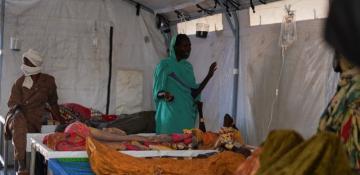 Sudan records over 1,200 new cholera cases amid ongoing outbreak