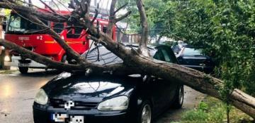 Three dead, four injured as severe storms strike Romania