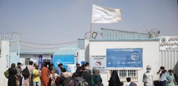 Taliban registers Afghan refugees in Qatar for job opportunities