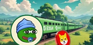 Shiba Inu price prediction: SHIB alternative under $0.003 shines as big investors jump in for 2025 meme coin gains