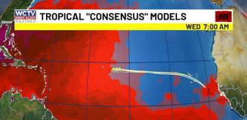 Tropical development is likely in the days ahead 