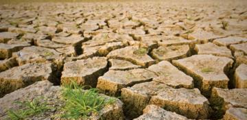 Africa requires $3 trillion to achieve climate goals - AU