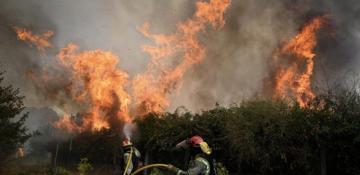 Wildfires in Madrid kill 26 horses as Europe faces record heatwave