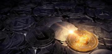 Why the best presale crypto might be the only crypto to buy if you’re tired of chasing overhyped coins that never deliver