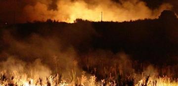 Portugal extends wildfire alert as 37 blazes rage