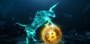 Bitcoin price falls 5 percent as liquidations mount while crypto presales emerge as the market’s bright light