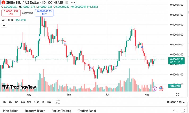 2025/08/scree-1754717593.jpg + Forget Dogecoin and Shiba Inu – Here’s why Remittix and Pengu are skyrocketing in August News about - Forget Dogecoin and Shiba Inu – Here’s why Remittix and Pengu are skyrocketing in August
