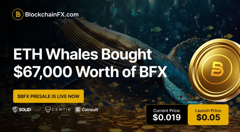 Hedera (HBAR) fell 6.28% and Sei (SEI) dropped 5.91% but BlockchainFX ($BFX) is your last chance to get in before it hits $1