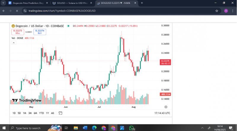News about - Dogecoin price prediction: Dogecoin chases $1, yet analysts say Remittix could turn $1,000 into $500k by 2026