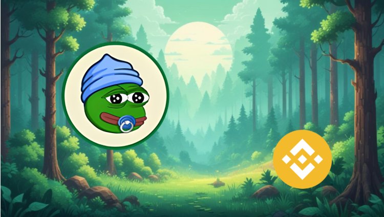 4 coins to watch as Binance coin (BNB) eyes a new ATH 