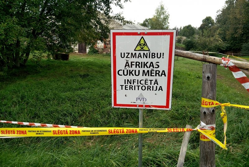 New swine fever outbreak hits Latvian farm