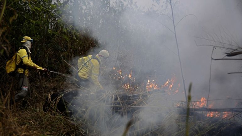 Climate change-driven wildfires worsen air pollution worldwide: UN