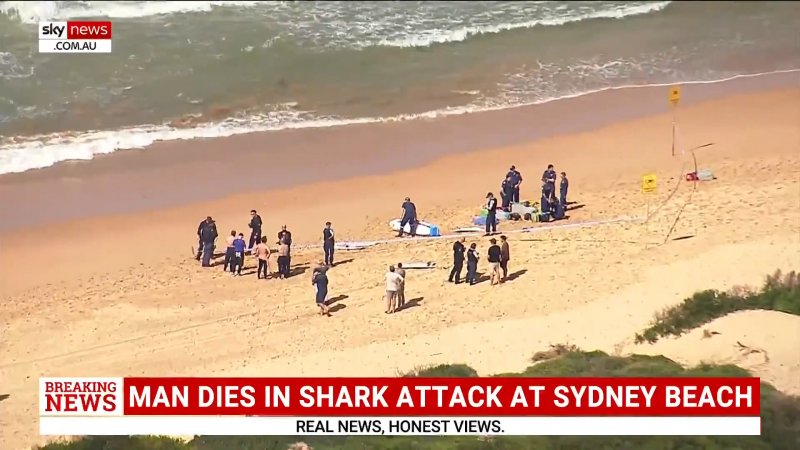 Surfer killed in shark attack at Sydney Beach