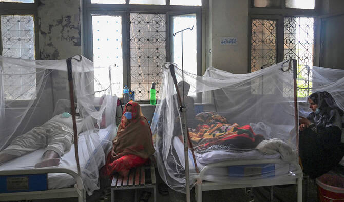 11 new dengue cases reported in Pakistan's capital 