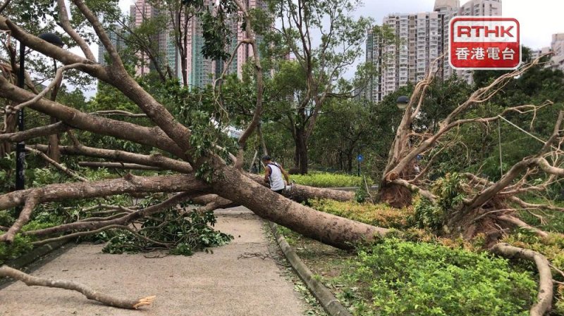 Ex-HKO Chief says Super Typhoon Ragasa stronger than Mangkhut