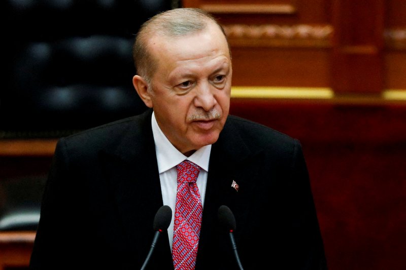 Turkish President hails UN Security Council members’ recognition of Palestine as ‘historic’