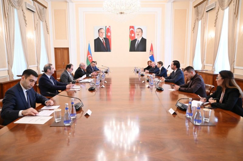 Azerbaijani PM holds meeting with Serbia's Parliament Speaker
