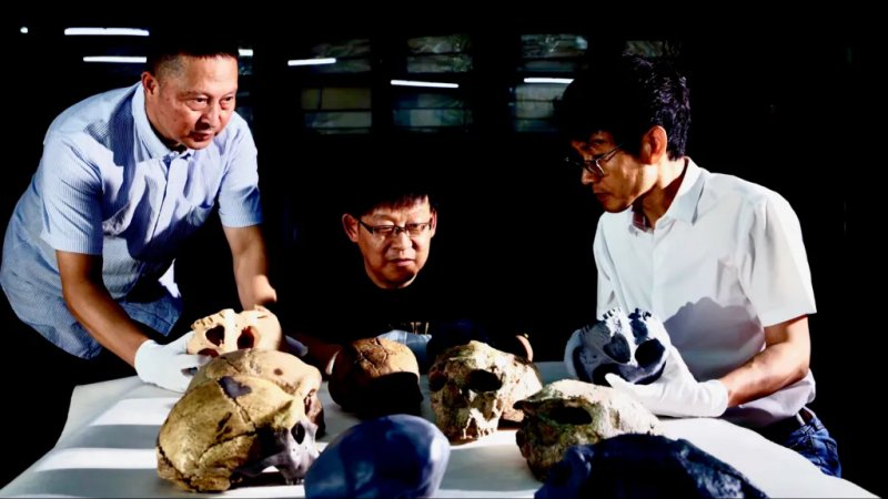 News about - Million-year-old skull discovery in China challenges timeline of human evolution