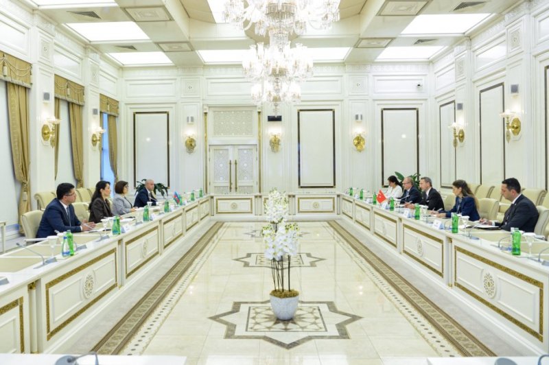 Azerbaijan and Türkiye explore human rights cooperation