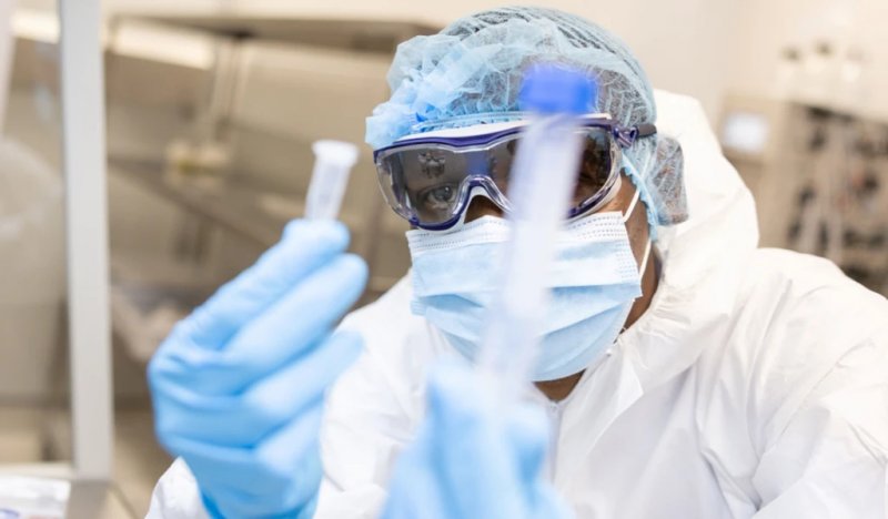 Rift Valley fever outbreak claims seven lives in Senegal