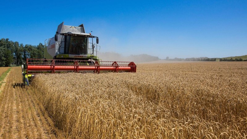 Kazakhstan boosts grain supplies to Azerbaijan