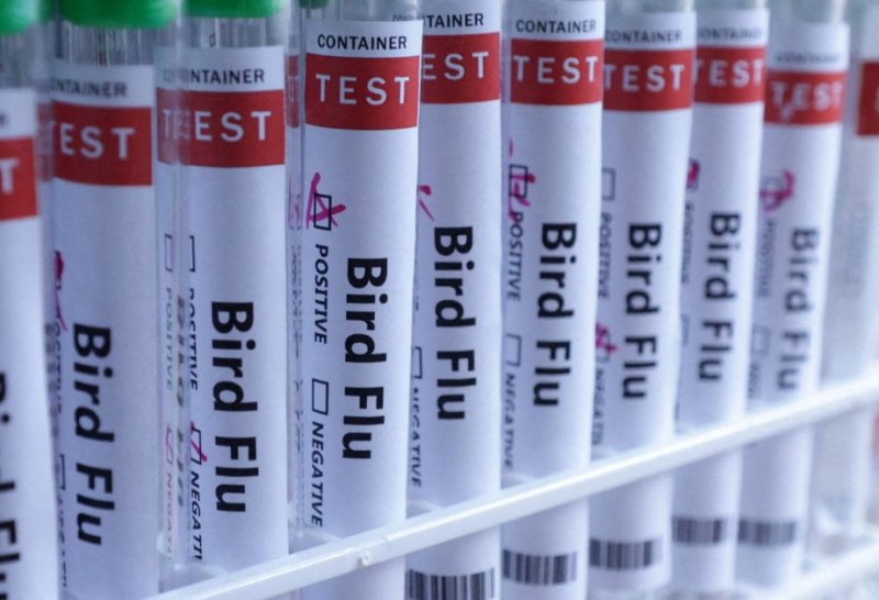 UK records H5N1 bird flu outbreak in southwestern England