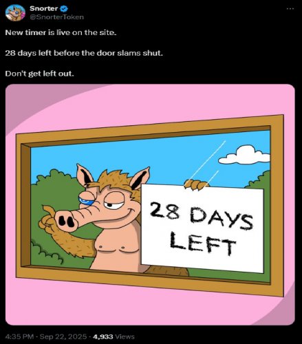 News about - Final countdown: Snorter crypto presale ends 20 October! Will it be the best meme coin ever?