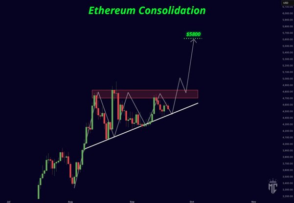 News about - Ethereum price prediction: Shiba Inu & Remittix becomes investor favourites In September