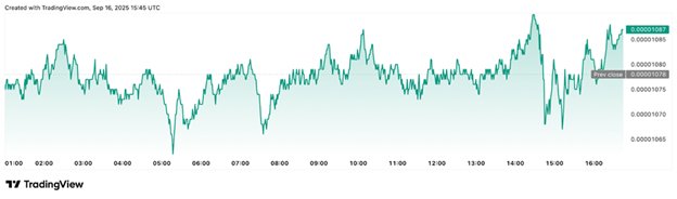 2025/09/1-1758390926.jpg + Dogecoin price forestcast as Remittix could surge over Pepe in 2025 News about - Dogecoin price forestcast as Remittix could surge over Pepe in 2025