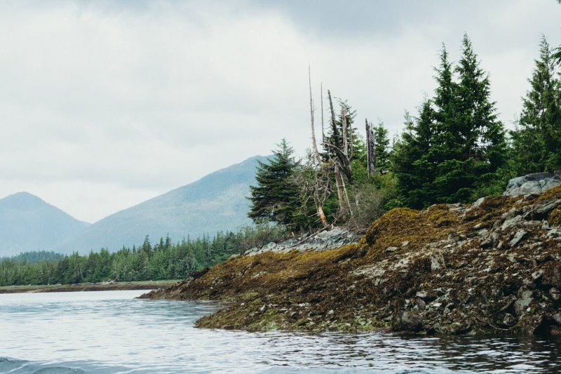 Magnitude 6 earthquake strikes off Alaskan coast