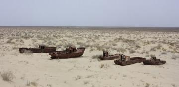 China helps Uzbekistan in efforts to save the Aral Sea