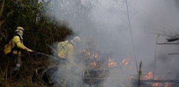 Climate change-driven wildfires worsen air pollution worldwide: UN