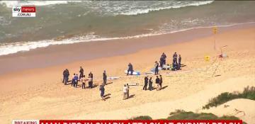 Surfer killed in shark attack at Sydney Beach